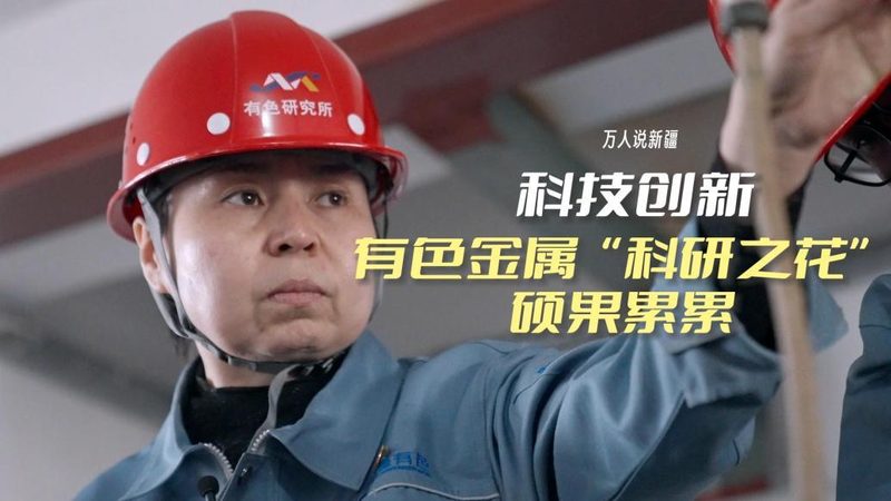 低代码平台：开启上海企业数字化转型的加速器